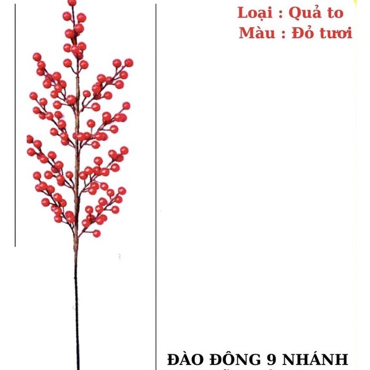 Cành đào đông đỏ