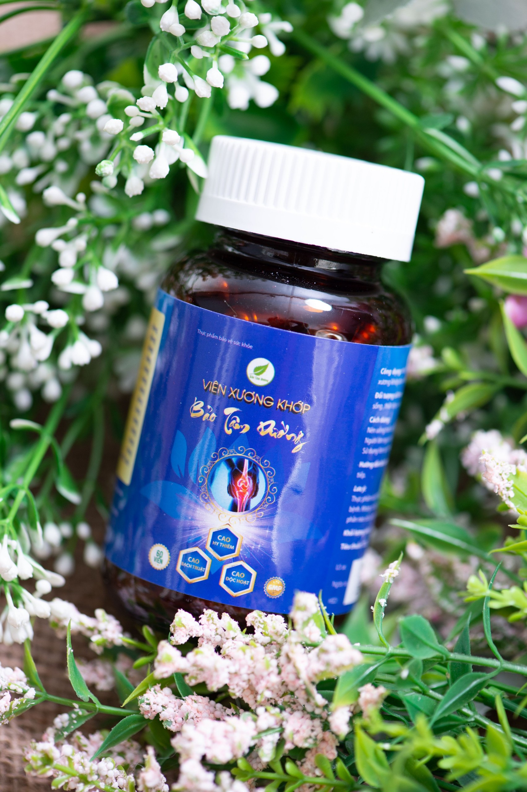 Viên uống Xương khớp Bảo Tâm Đường hỗ trợ mạnh gân cốt , cải thiện tình trạng phong thấp , thoái hóa khớp