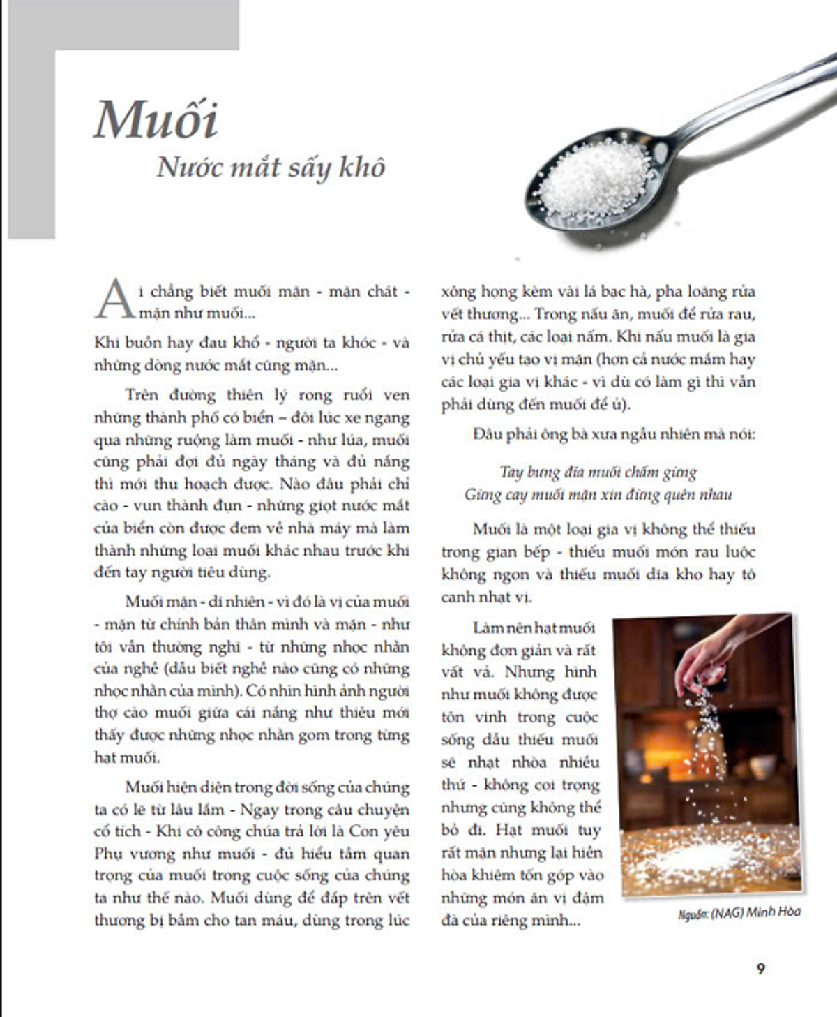 Sách - Hơi Thở Của Gia Vị Trong Gian Bếp Việt