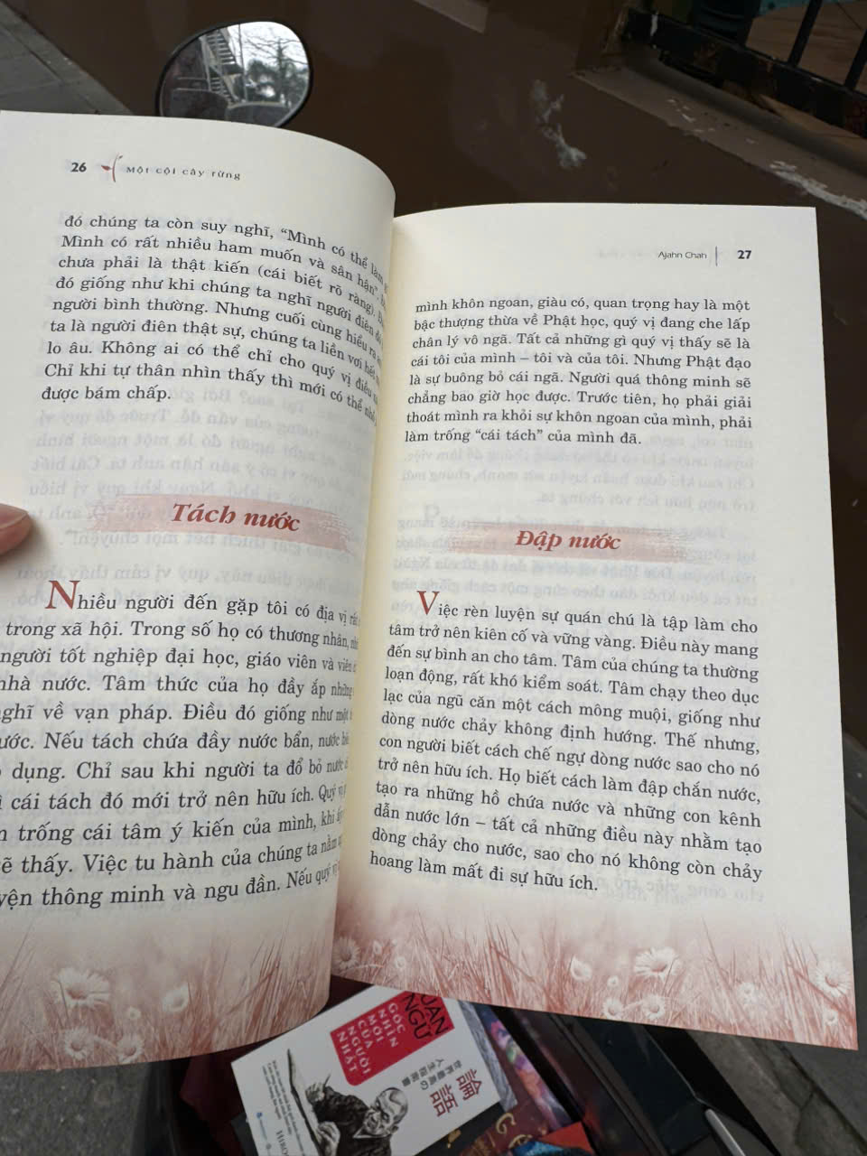 MỘT CỘI CÂY RỪNG – Ajahn Chah – Huỳnh Văn Thanh dịch - VanLangBooks - NXB Hồng Đức
