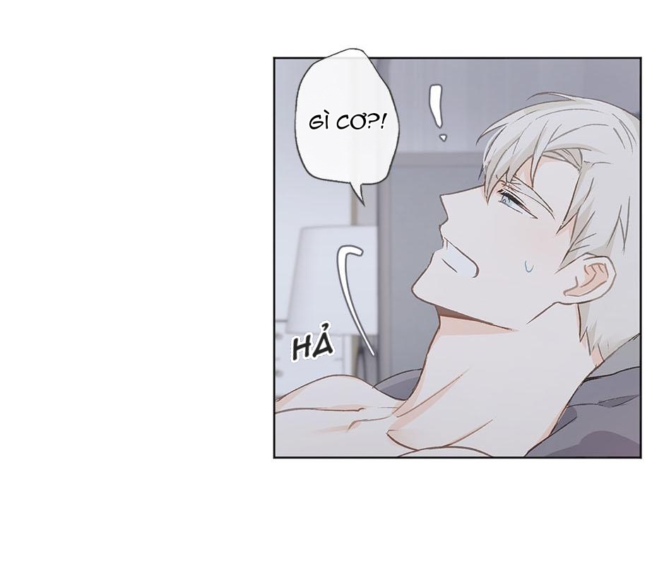 yêu hay không yêu chapter 12 62