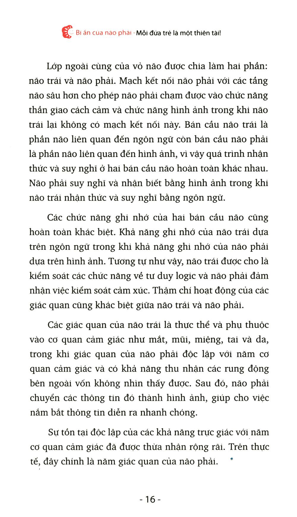 Bí Ẩn Của Não Phải (Tái Bản 2022)