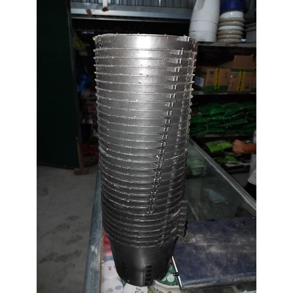 Combo 10 Chậu Nhựa Trồng Lan Phi 12