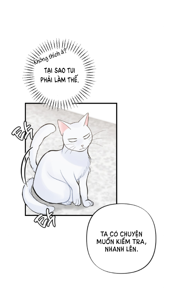 [18+] chuyện mèo trắng bị ba tước báo đen ăn thịt chapter 4.1 25
