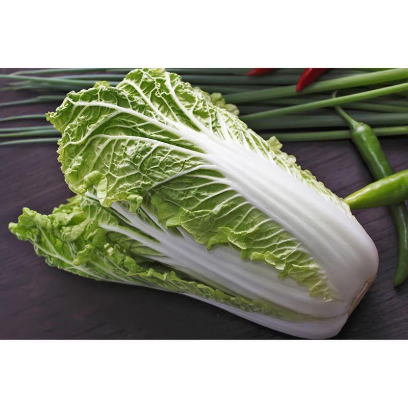 Hạt giống rau cải thảo chịu nhiệt, dễ trồng, năng suất cao, gói 5gr