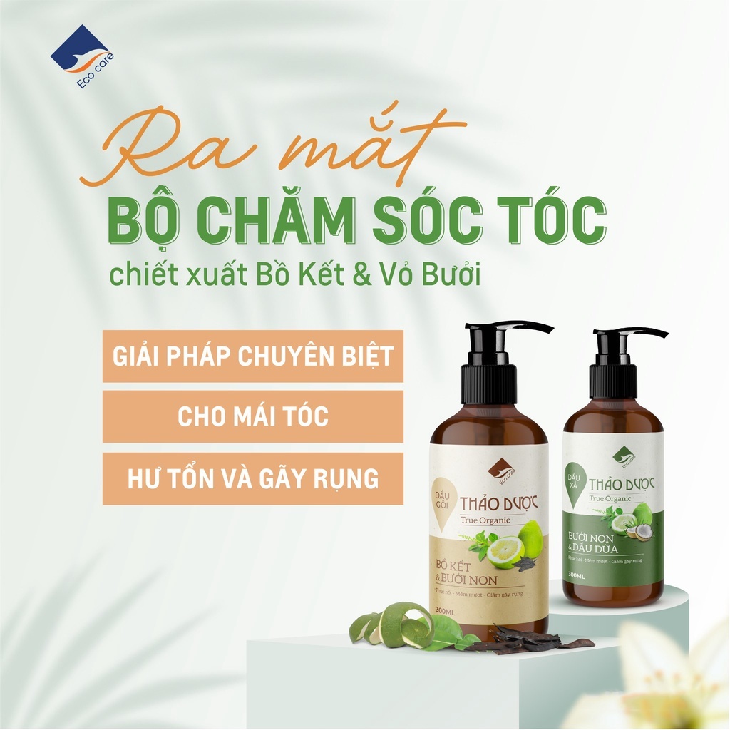 Dầu gội thảo dược ECOCARE 300ml đạt chuẩn CGMP, dầu gội xả thảo mộc giúp sạch gàu, giảm rụng tóc