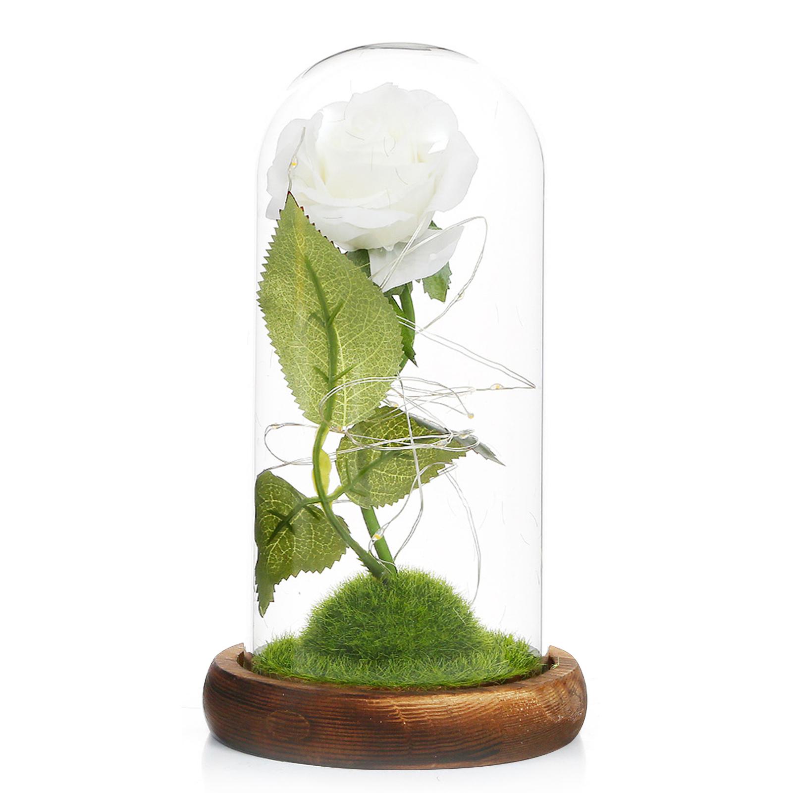 Hoa hồng giả dễ thương trong lồng kính, có đèn LED, làm quà tặng, trang trí