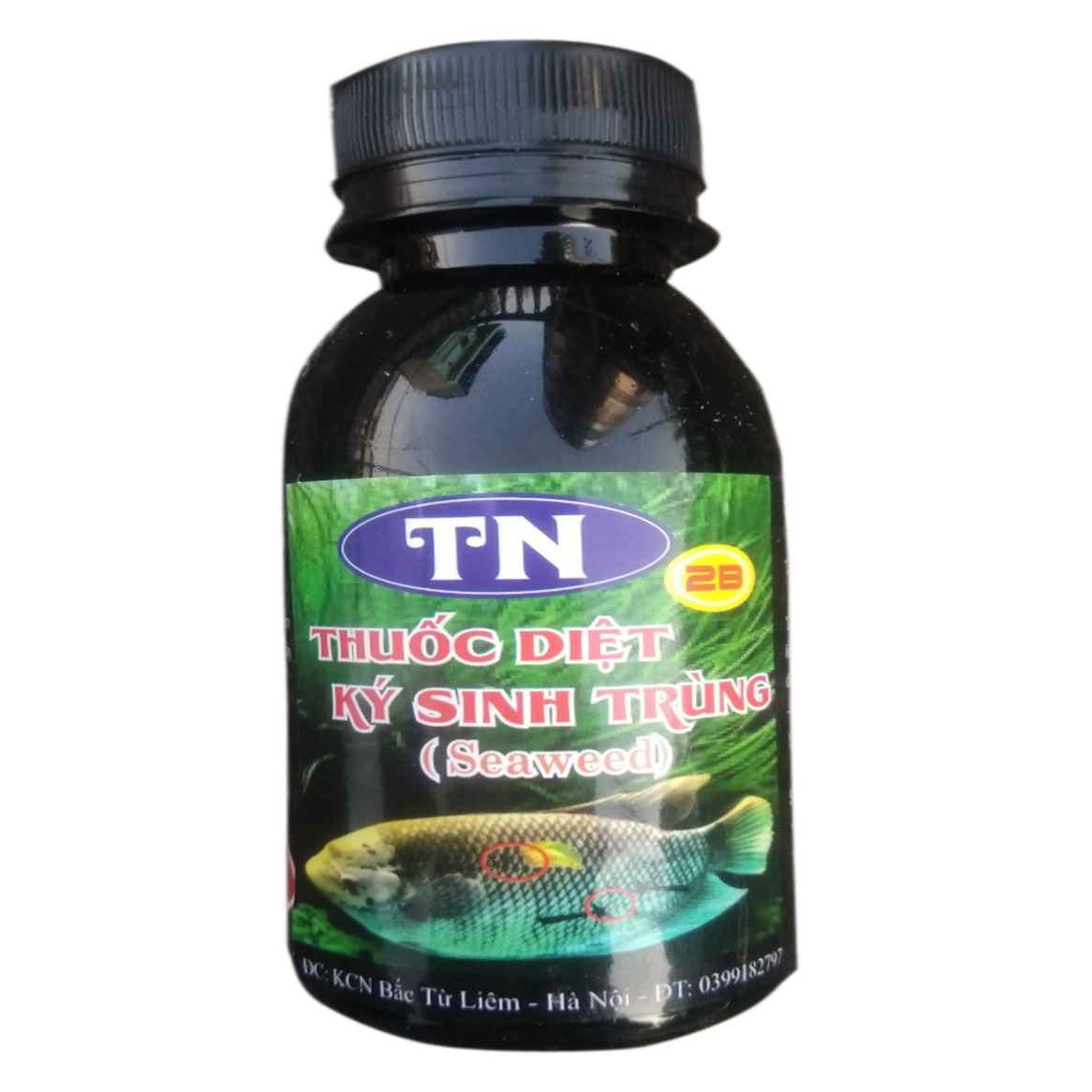 Thuốc TN 2B Seaweed - Thuốc Diệt Ký Sinh Trùng Ở Cá & Diệt Khuẩn, Diệt Tảo Trong Nước 100ml