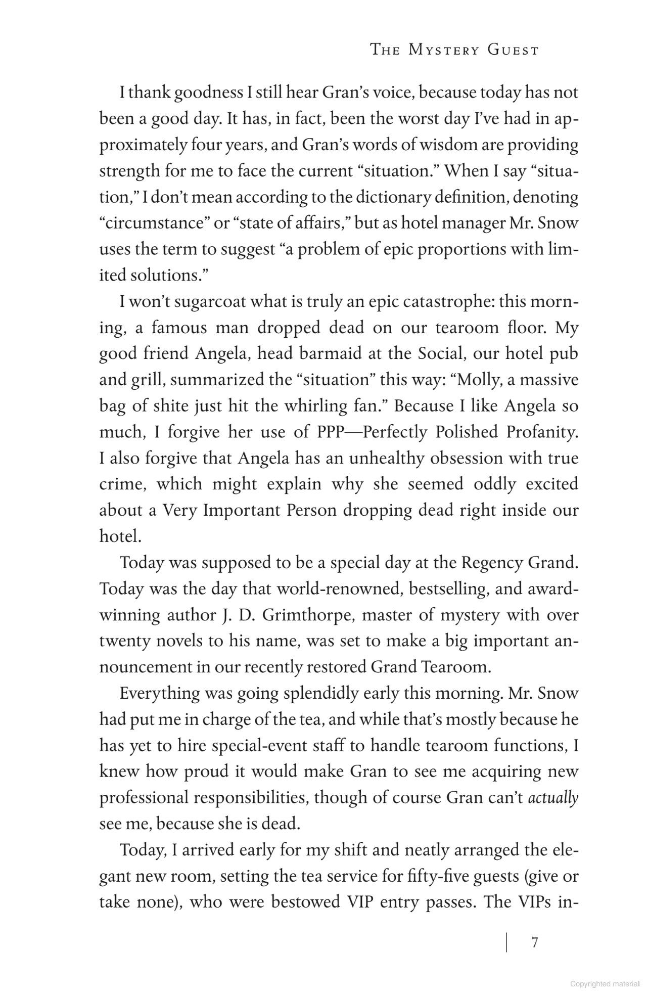 Sách ngoại văn: The Mystery Guest