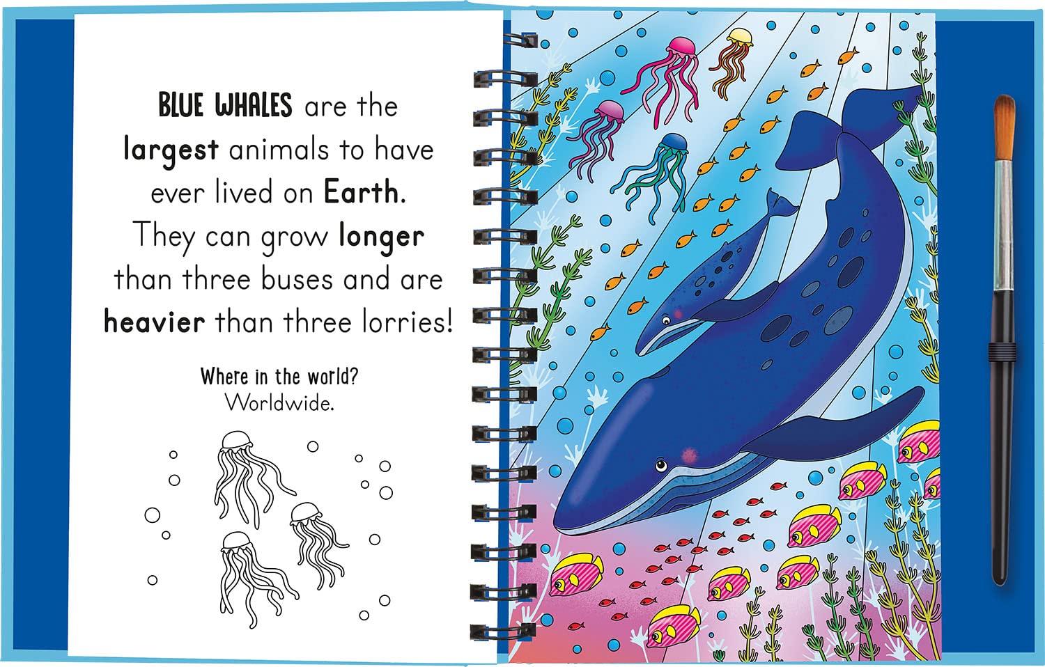 Sách thiếu nhi Tiếng Anh: Splish and Splash - Under the Sea