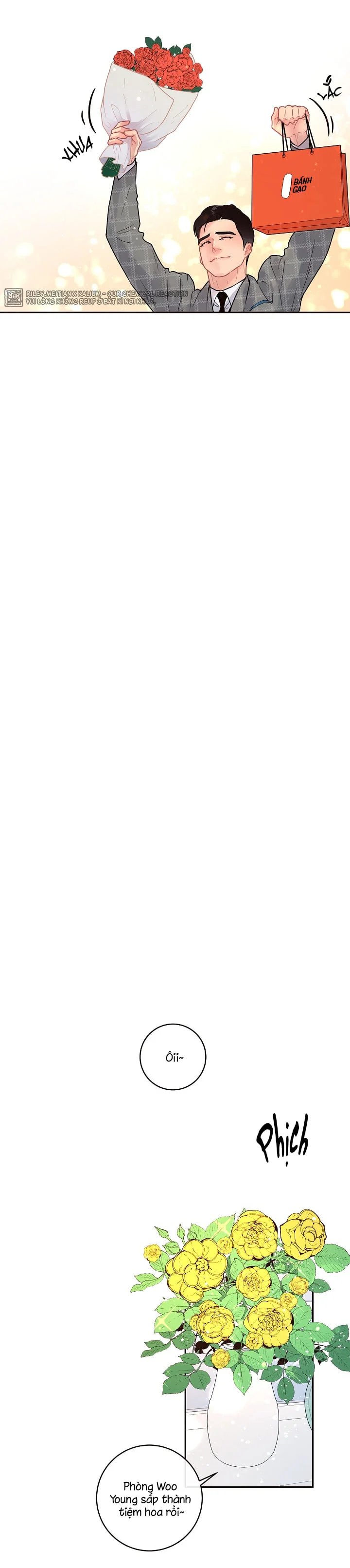 làm cách nào để theo đuổi một alpha? chapter 62 16