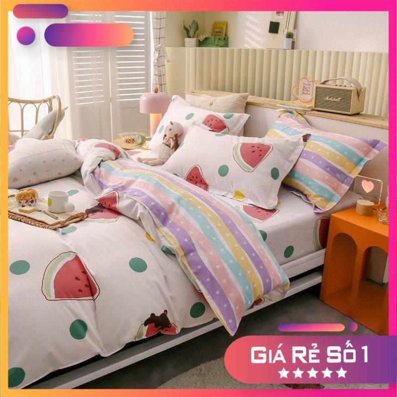Bộ chăn ga gối cotton 100% mềm mại bo chun miễn phí