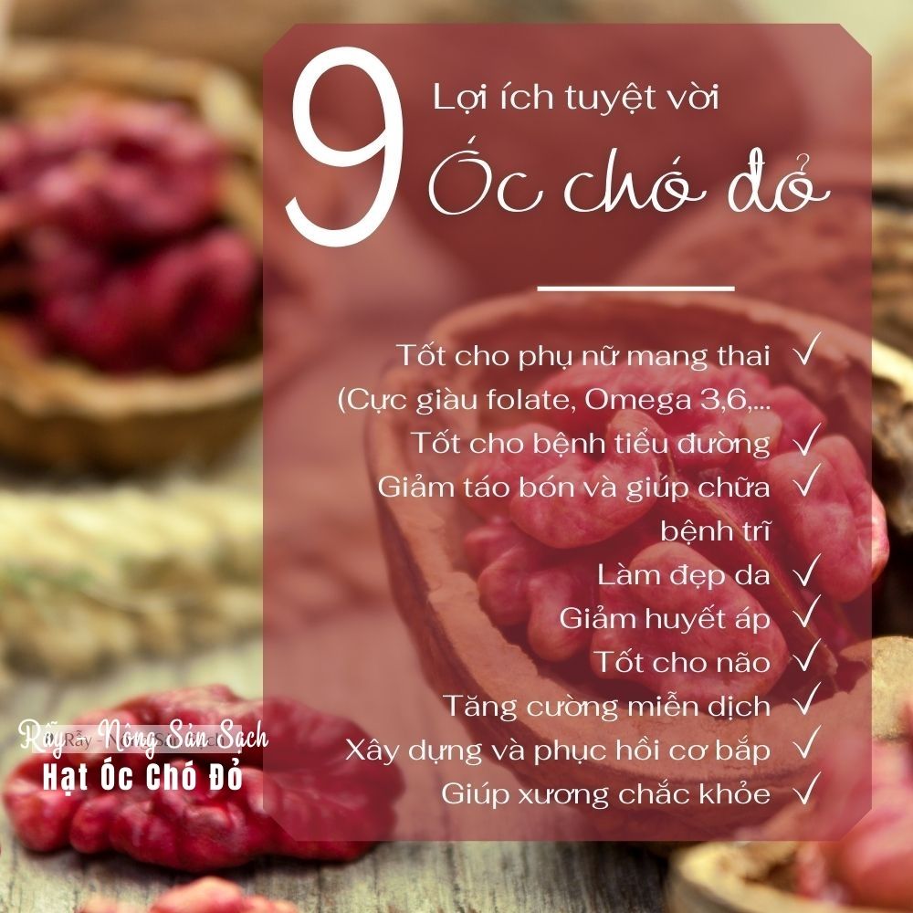 Hạt óc chó đỏ nhập khẩu Mỹ cao cấp, hạt dinh dưỡng ăn liền ăn kiêng ăn vặt an toàn