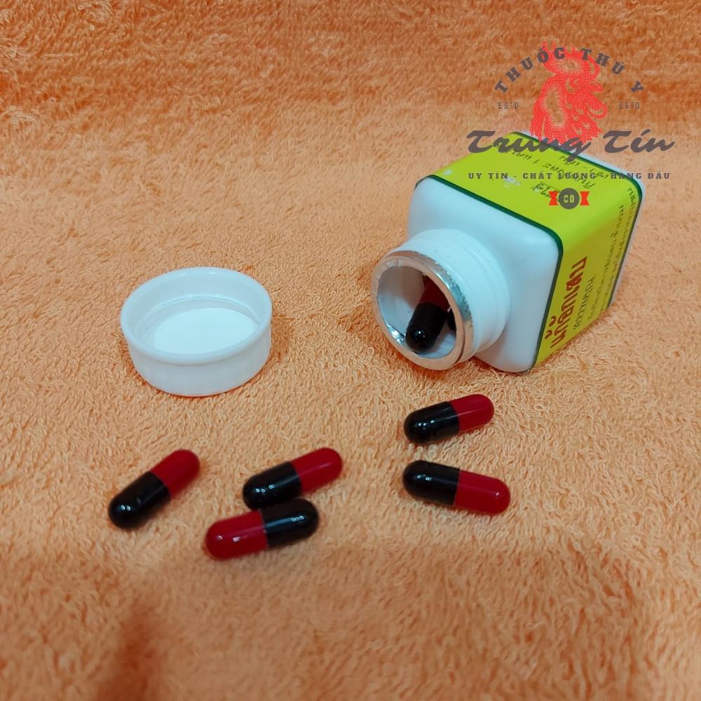 Chống viêm nhiễm , tiêu sưng , tiêu ké , gom ké , giãm đau , hạ sốt dành cho gà mới đá về - 1 hủ / 20 viên