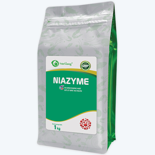 Vi sinh dạng hạt xử lý đáy ao nuôi thủy sản NIAZYME