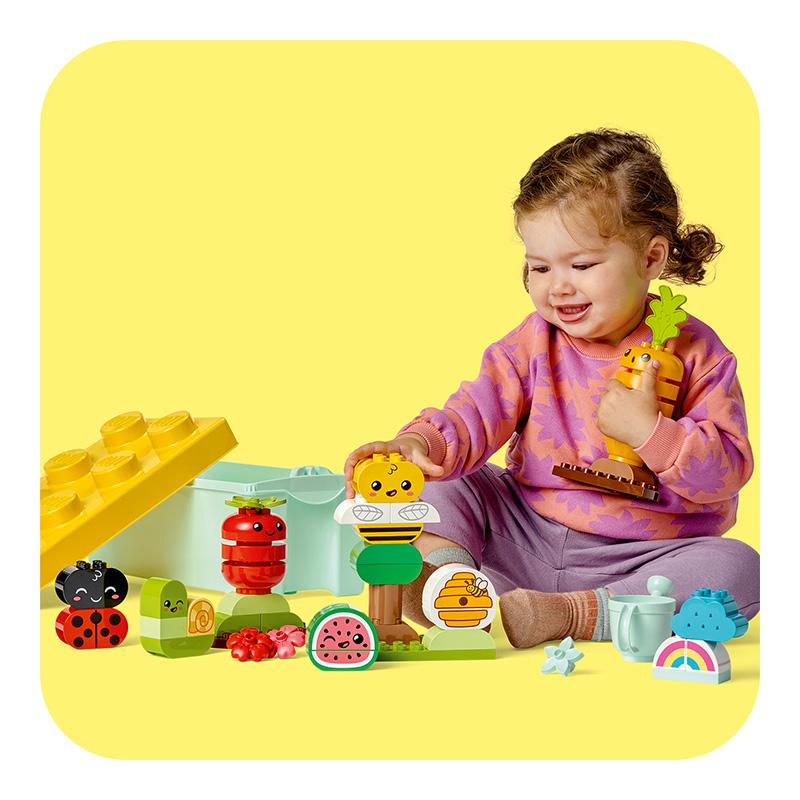 Đồ Chơi Lắp Ráp LEGO Thùng Gạch Sáng Tạo Khu Vườn Của Bé 10984