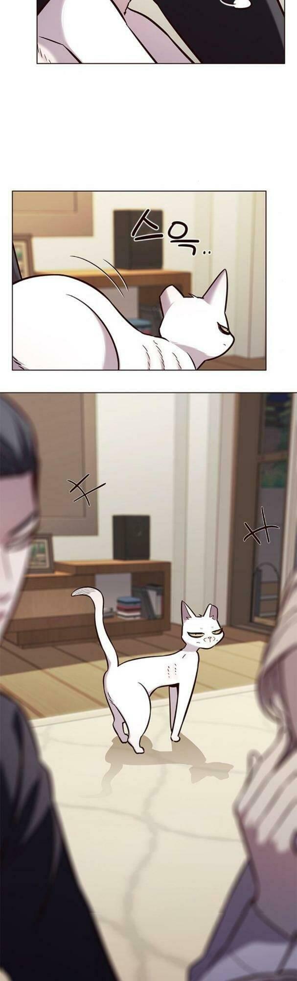 biến thân thành mèo chapter 178 24