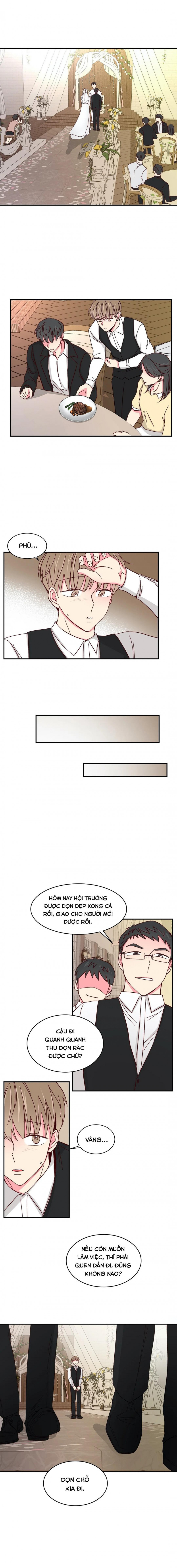 món tráng miệng của sếp tổng chapter 44 14