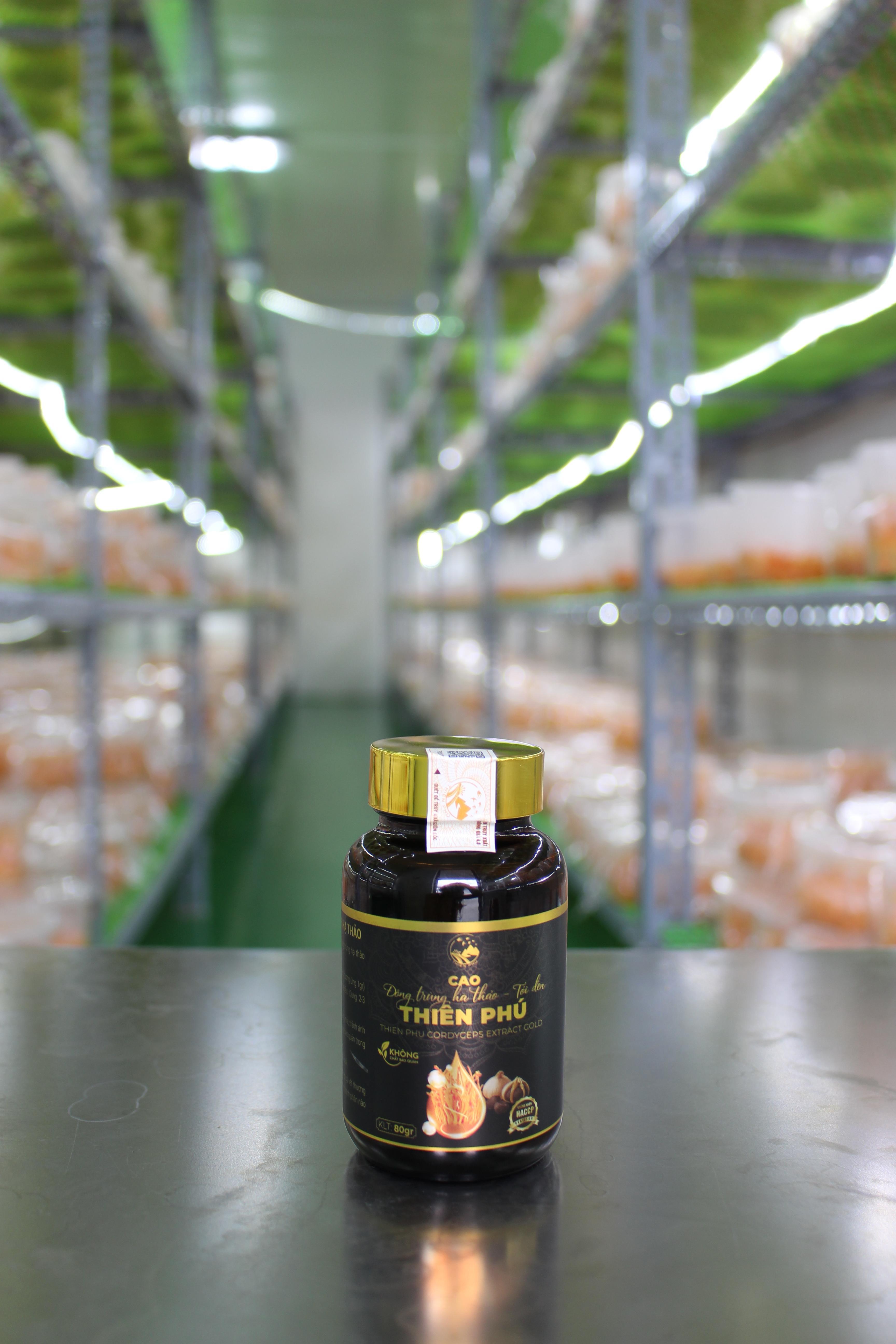 Cao đông trùng hạ thảo – Tỏi đen - Lọ 80gr