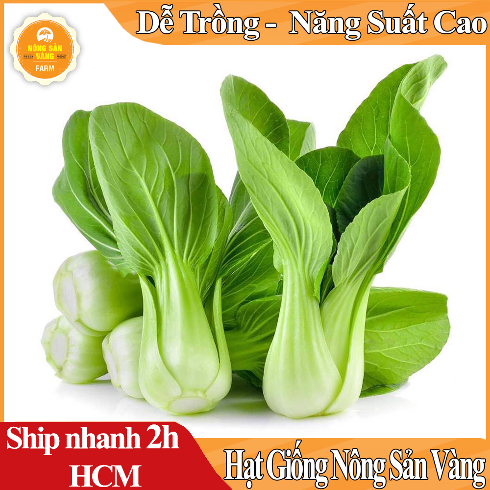 Hạt giống Cải Bẹ Loại Rau Xanh Chứa Nhiều Vitamin Và Khoáng Chất, Dễ Trồng, Năng Suất Cao - Nông Sản Vàng