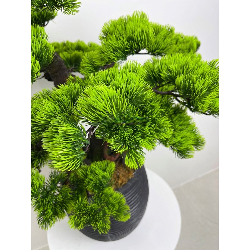 Cây tùng giả - Cây bonsai giả - Cây giả, hoa lụa Decor trang trí nhà cửa