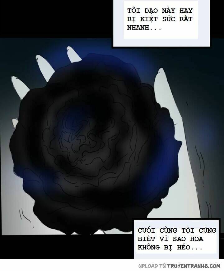 hoa mẫu đơn đen chapter 5 16