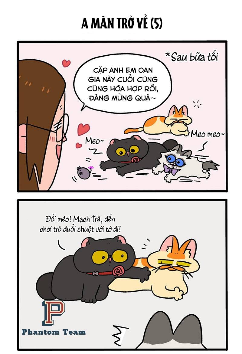 a mãn và mạch trà chapter 50.1 3