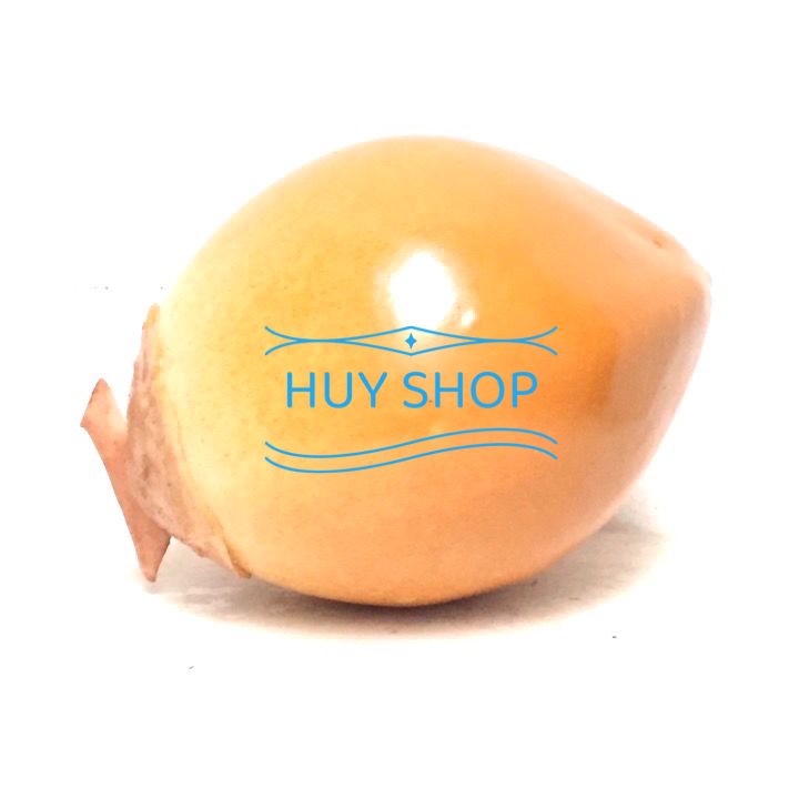 1 Trái DỪA nhân tạo trang trí nhà cửa - Trái cây giả
