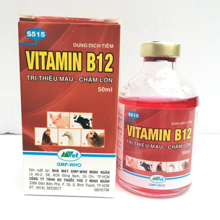 VITAMIN B12 LỌ 50ML CHUYÊN DÙNG CHO LAN - GIÚP TRỪ NẤM BỆNH CHO CÂY SAU MỘT THỜI GIAN MƯA DÀI
