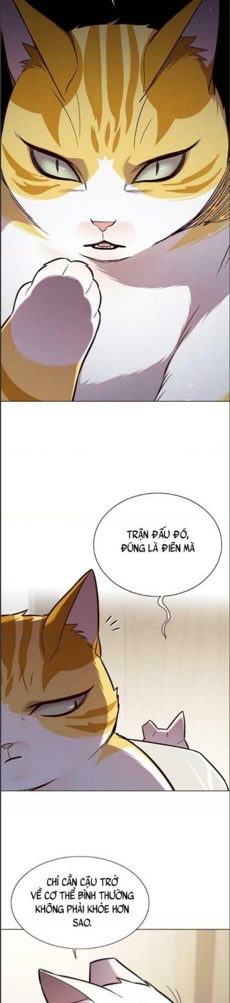 biến thân thành mèo chapter 164 12