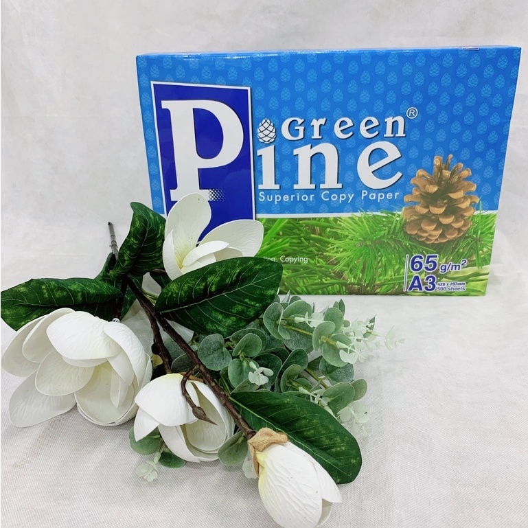 Giấy in, giấy photo Green Pine A3 ĐL 60gsm - 65gsm - 70gsm ( 500 tờ/1 ram) - Giấy In Văn Phòng