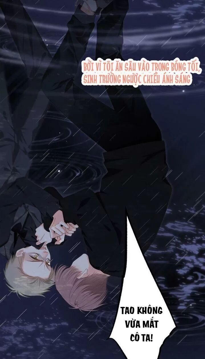 con tim rung động 2 chapter 116 81