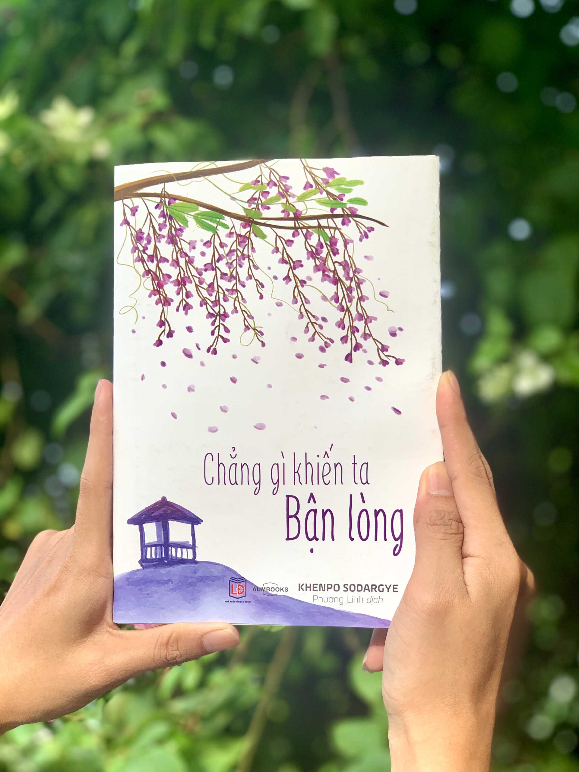 Sách Chẳng Gì Khiến Ta Bận Lòng - Sách Tôn Giáo, Nghệ Thuật Văn Hóa, Tác Giả KHENPO SODARGYE - Hiệu Sách GenBooks, bìa mềm, in màu