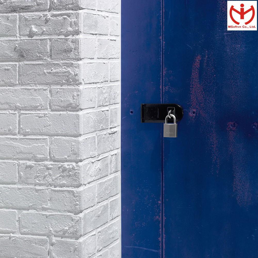 Ổ khóa chống nước Master Lock 1145 PEURD thân đồng mạ Nickel rộng 40mm càng bát giác