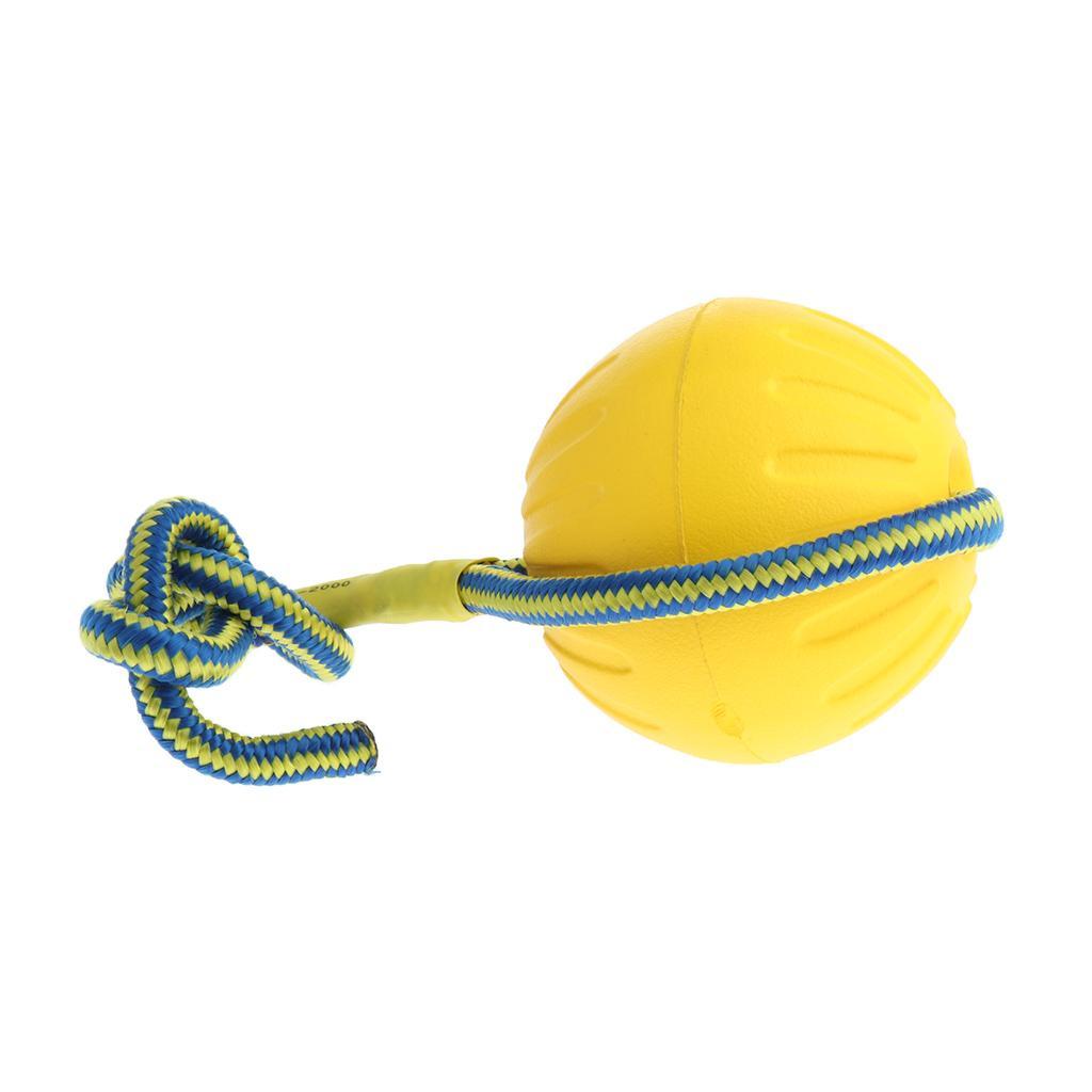 Foam Ball Pet Dog Training Toy Ball with Rope