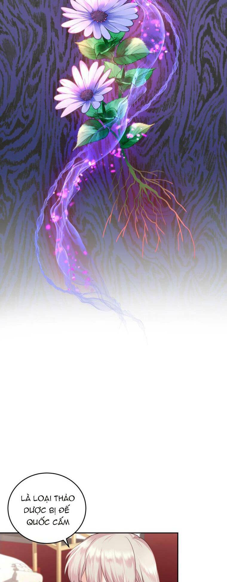 nhà điều chế nước hoa độc quyền của bạo chúa chapter 53 43