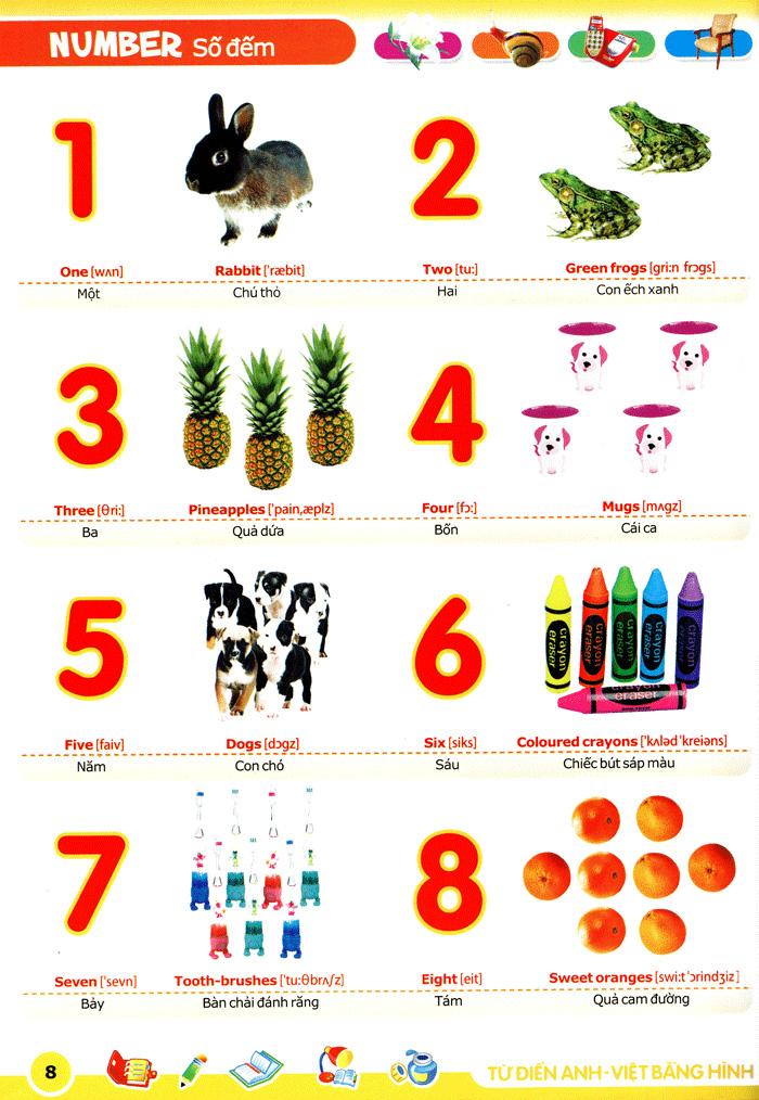 Từ Điển Anh - Việt Bằng Hình