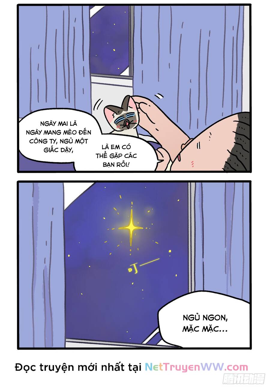 a mãn và mạch trà chapter 150 2