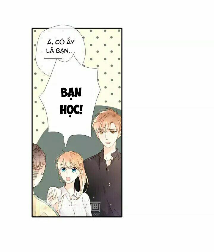 Tình yêu là màu hoa anh thảo chapter 24.2 17