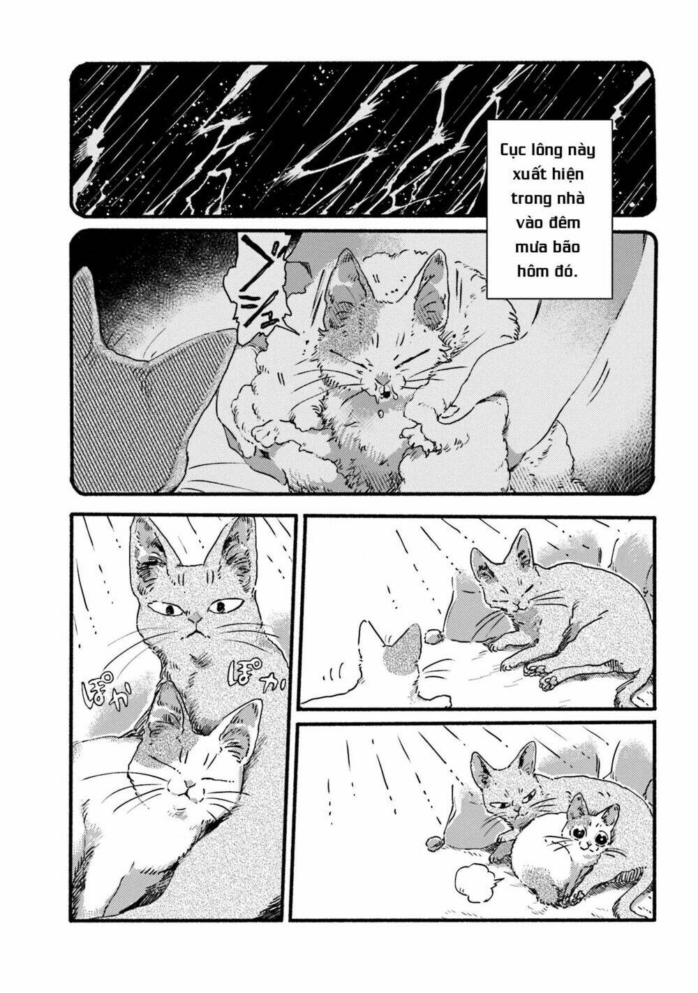 nekodamari chapter 3 5