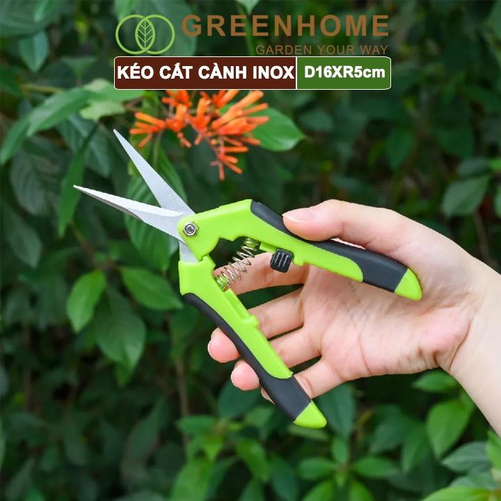 Kéo cắt cành, D15,5xR4,5cm, inox, mũi nhọn, siêu bén, không gỉ, có khoá an toàn |Greenhome