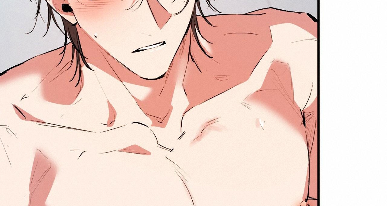 đàn thỏ của habibi chapter 43 157