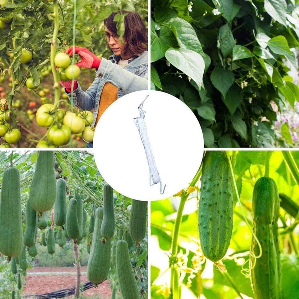 Móc cà chua 10 miếng móc cà chua với dây cà chua móc dây buộc cà chua và hỗ trợ clip cà chua hỗ trợ clip để trồng cà chua cây quả anh đào thực vật 10 m dây thừng 10 m