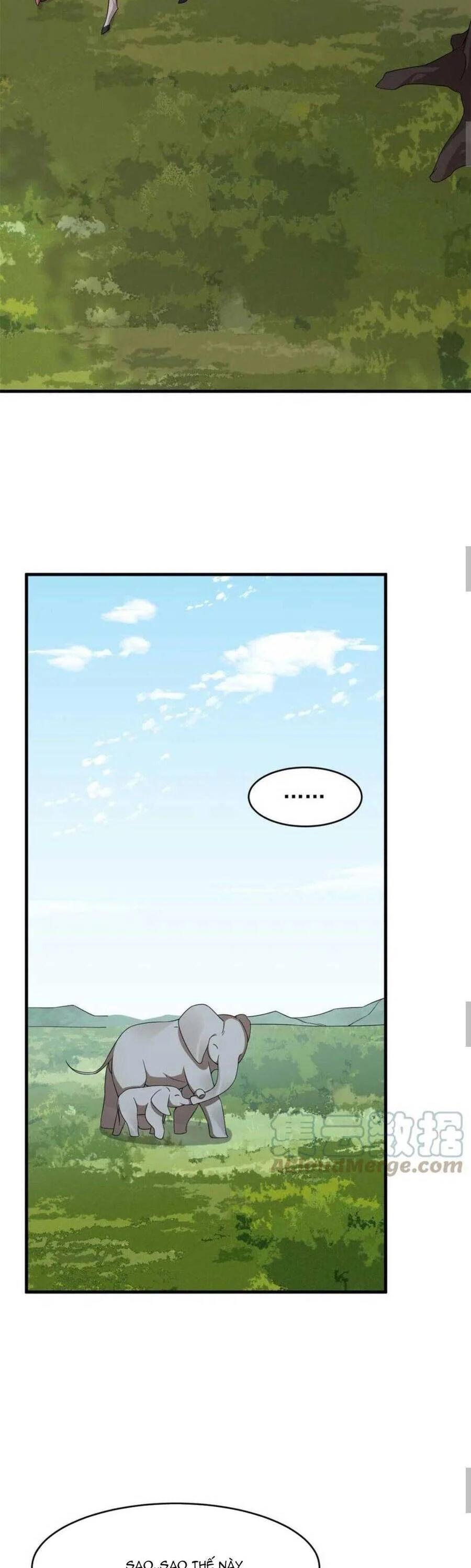 độc bộ thiên hạ: đặc công thần y chapter 425 5