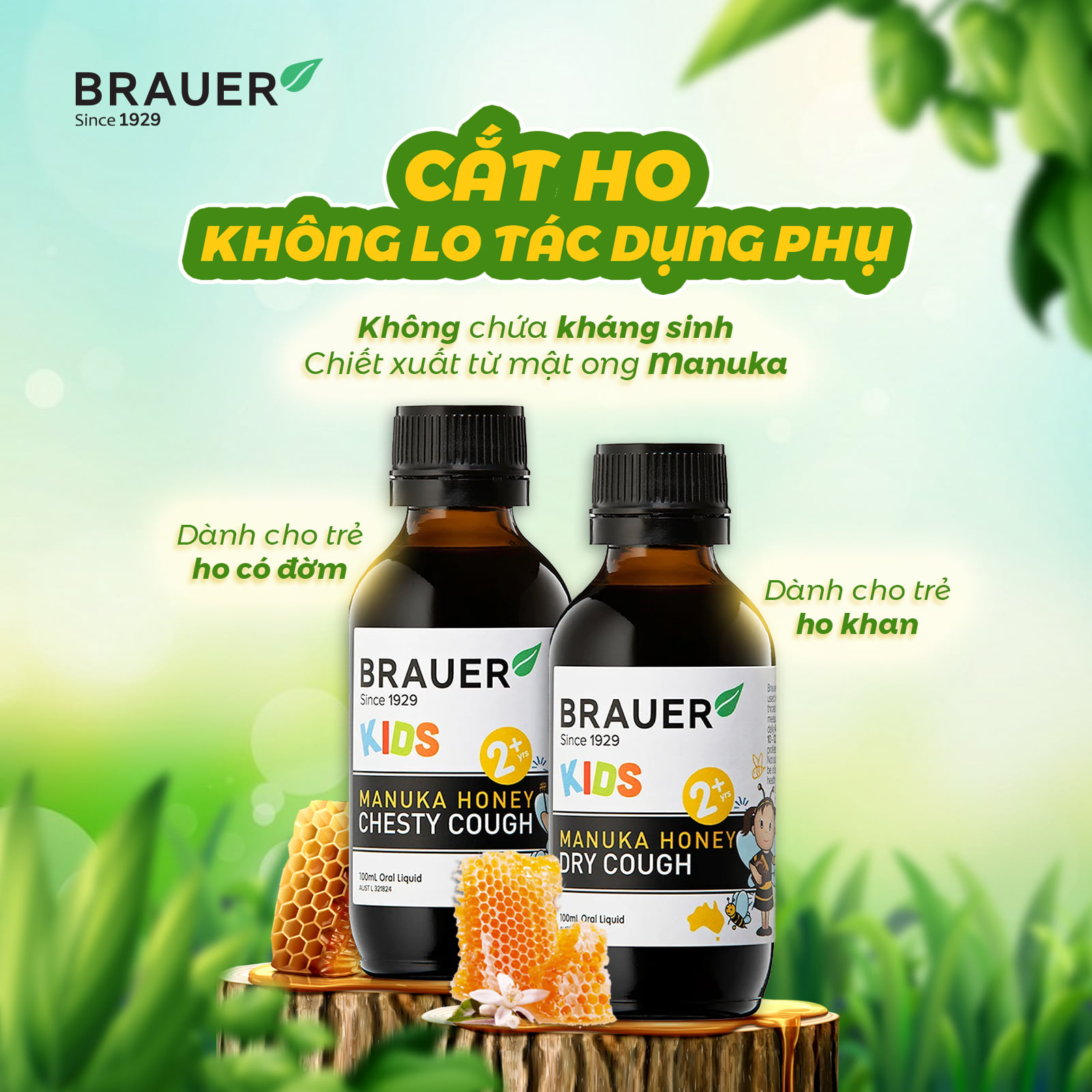 Siro giảm ho cho bé từ 2 tuổi Brauer Kids Manuka Honey Chesty Cough giảm ho khan, ho có đờm - QuaTangMe Extaste