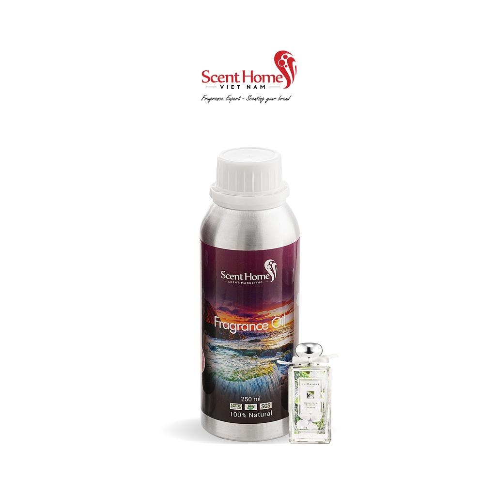 Tinh dầu Scent Homes - mùi hương