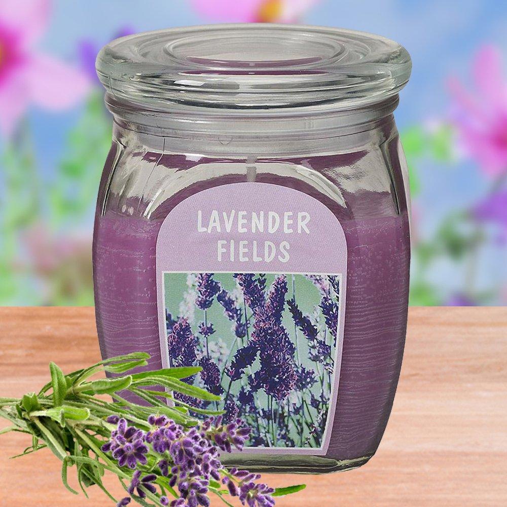 Hũ nến thơm tinh dầu Bolsius Lavender Fields 305g QT024366 - cánh đồng oải hương, nến trang trí, thơm phòng, thư giãn, khử mùi