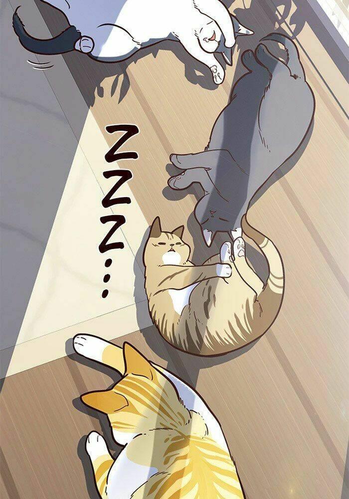 biến thân thành mèo chapter 11 49