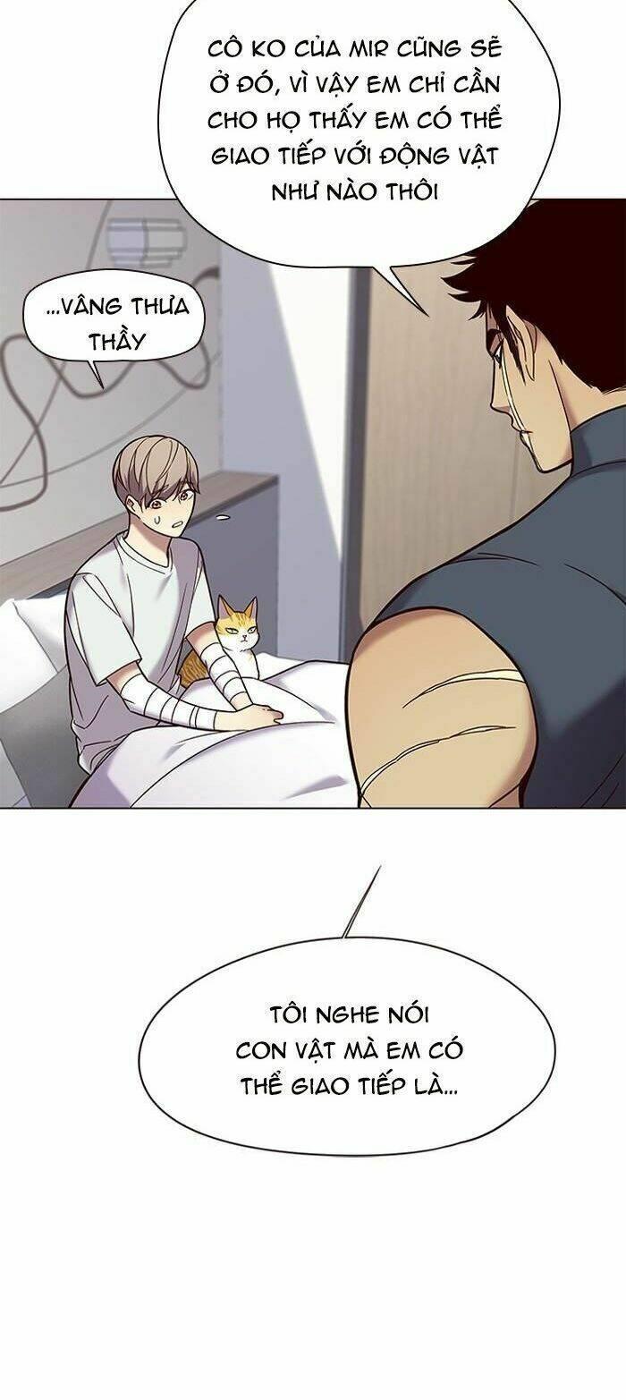 biến thân thành mèo chapter 89 14