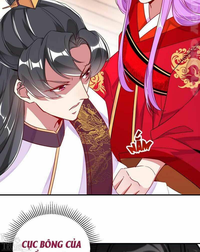 thiên thần gấu trúc muốn được ôm chapter 52 5